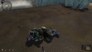 A halászfaluban tanyázó Hans elhív kimérát ölni, így indul a küldetés